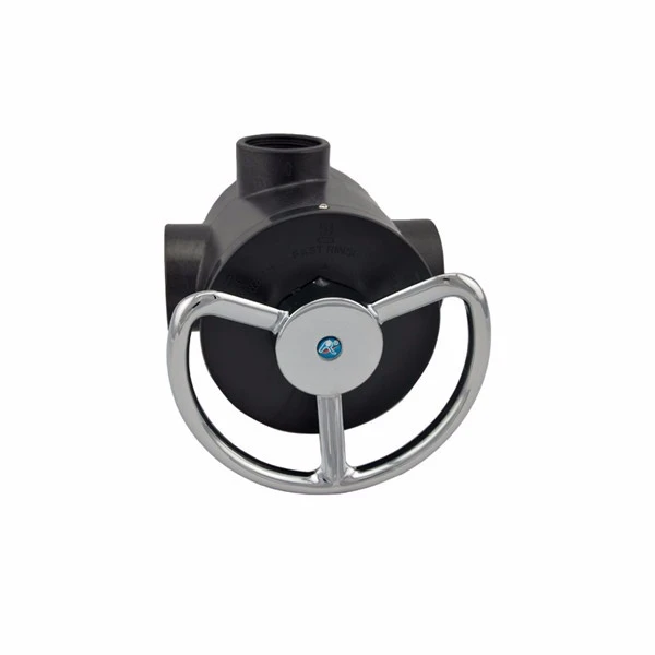 Manual Filter Valve